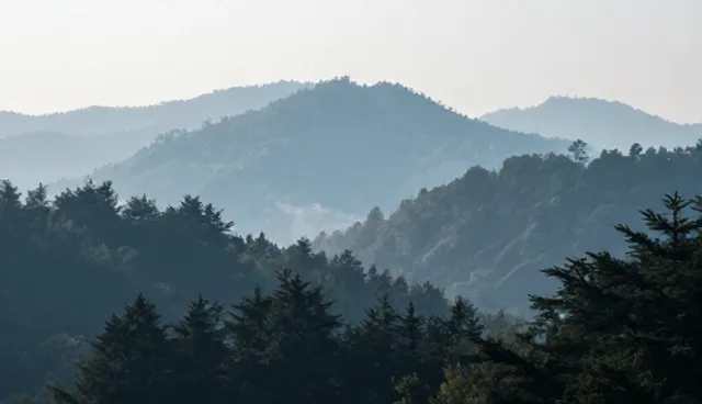 采购供应场景分析:核对清单要点与实际应用